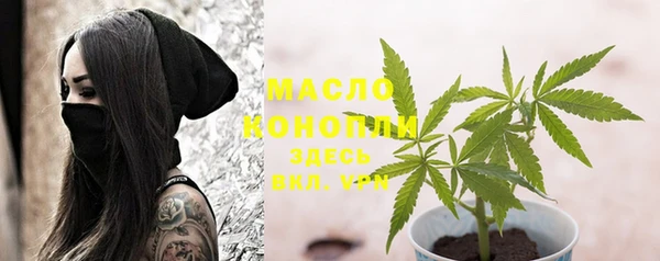 винт Няндома