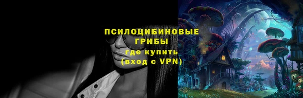 винт Няндома