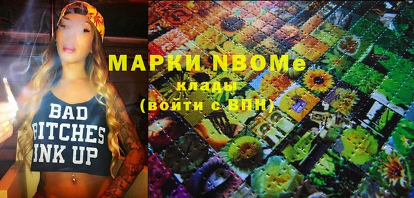 винт Няндома