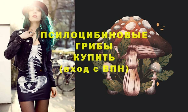винт Няндома
