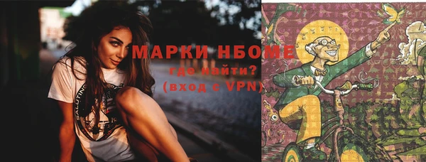 винт Няндома